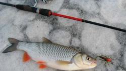 Зимняя рыбалка в январе, рыбалка в январе видео Ловля рыбы в январе на реке